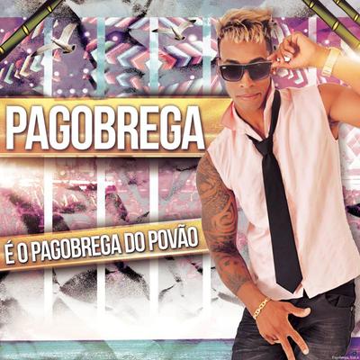 Pagobrega, Vol. 4 (Ao Vivo)'s cover