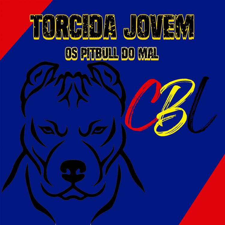 Torcida Jovem's avatar image