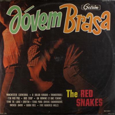 O dólar furado By The Red Snakes's cover