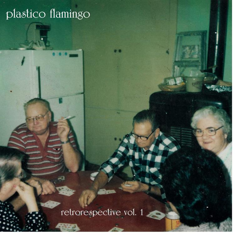 Plastico Flamingo's avatar image