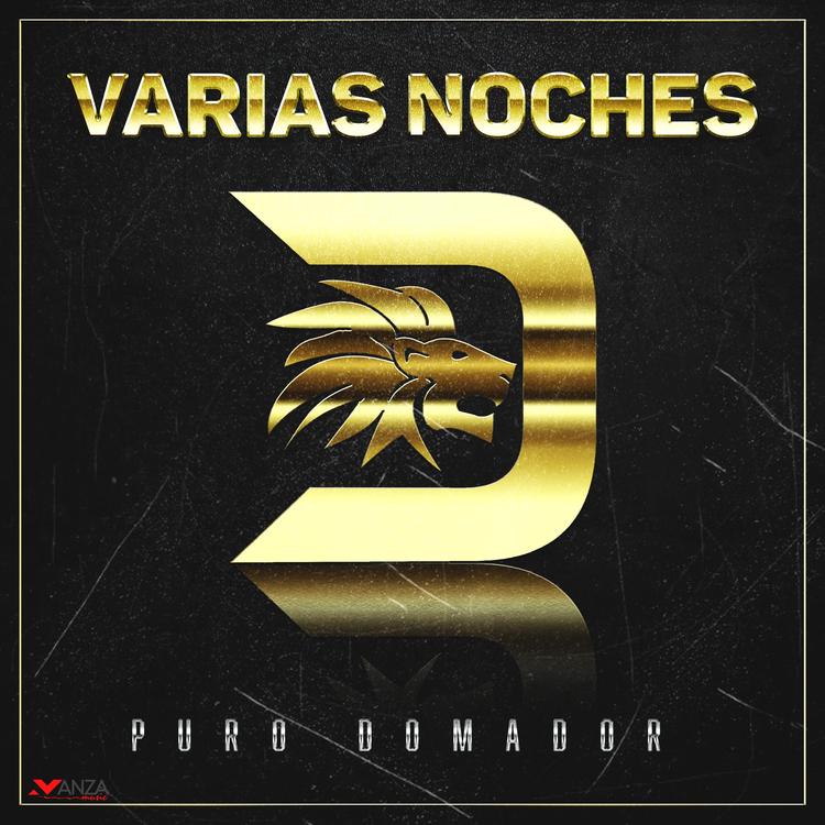 Puro Domador's avatar image