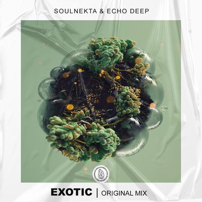 Exotic By Soulnekta, Echo Deep's cover