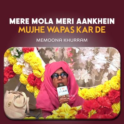 Mere Mola Meri Aankhein Mujhe Wapas Kar De's cover