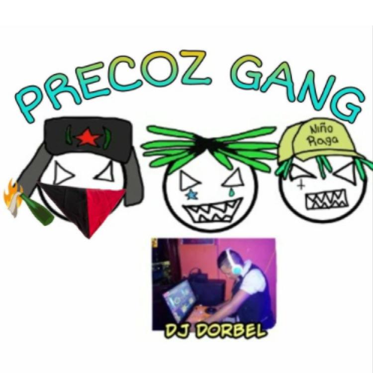 Precoz Gang's avatar image