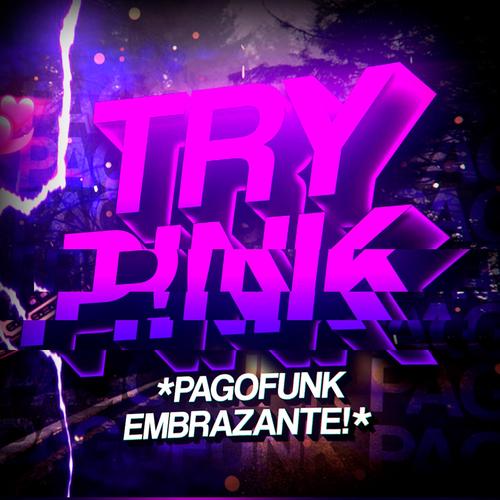 Beat Try (Pagofunk)'s cover