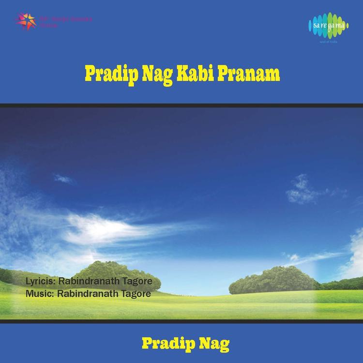 Pradip Nag's avatar image