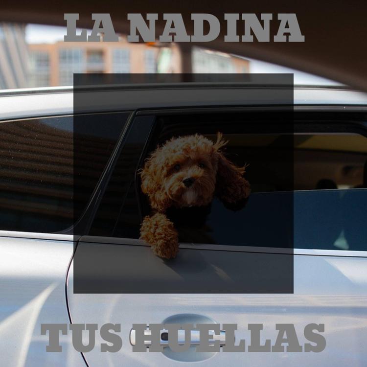 La Nadina's avatar image