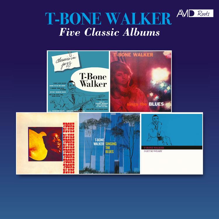 T Bone Walker's avatar image