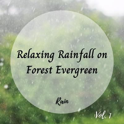 Rain: Relaxing Rainfall on Forest Evergreen Vol. 1's cover