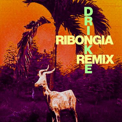 Drinkee (Ribongia Remix) By Sofi Tukker's cover