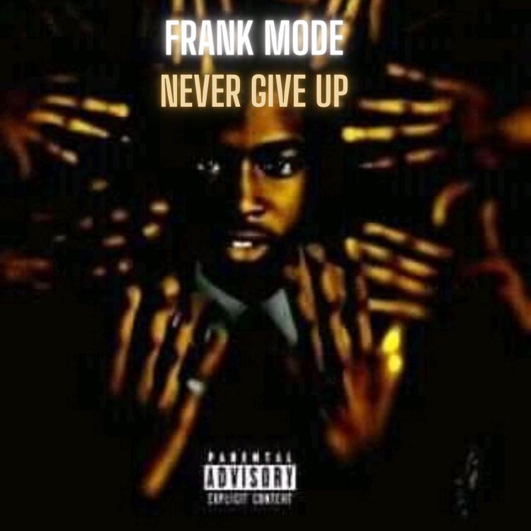 Frank Mode's avatar image