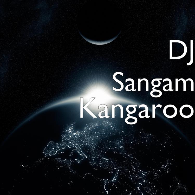 DJ Sangam's avatar image