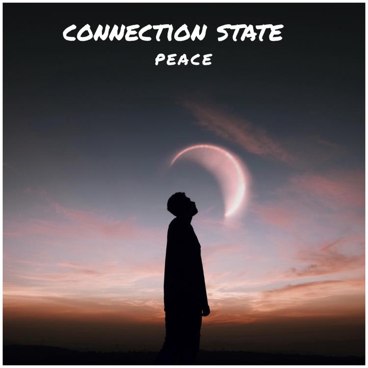 Connection State's avatar image