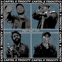 CARTEL MUSIC's avatar cover