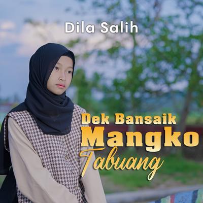 Dek Bansaik Mangko Tabuang By Dila Salih's cover