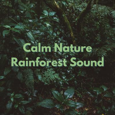 Ambient Rain therapy By Nature & Rainforest Sounds Collective, Music of the Forest, Calm Rain Music's cover