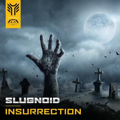 Slugnoid's cover