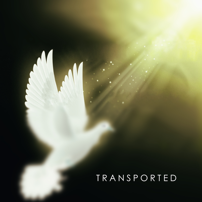 Transported's cover