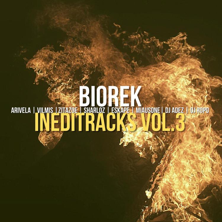 Biorek's avatar image
