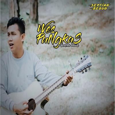 Wes Pungkas's cover