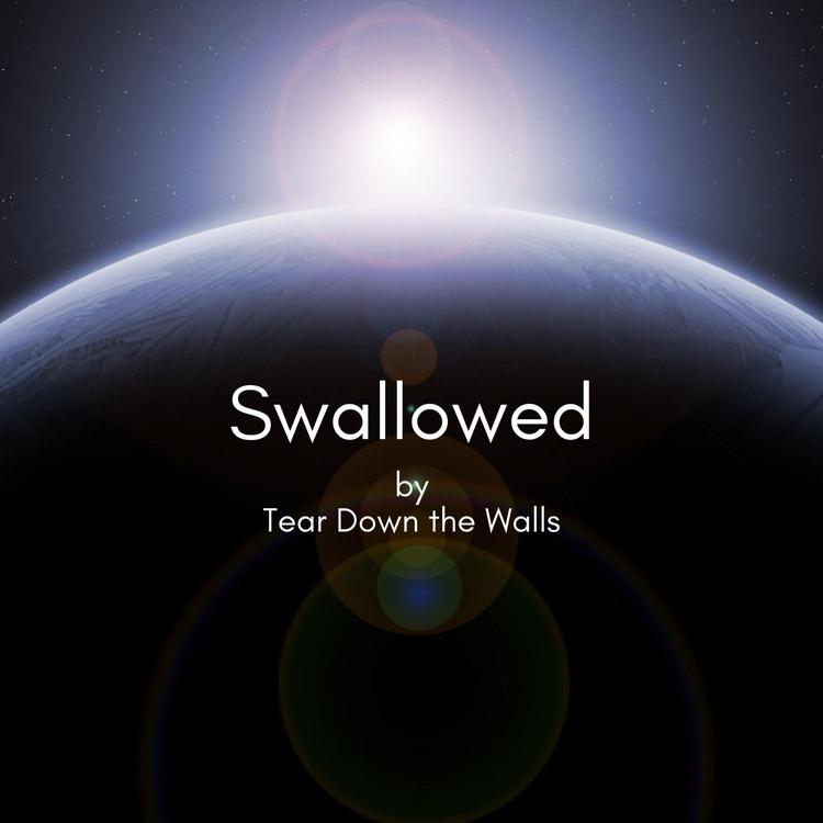 Tear Down the Walls's avatar image