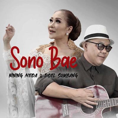 Sono Bae By Nining Meida, Doel Sumbang's cover
