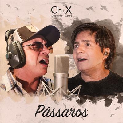 Pássaros By Chitãozinho & Xororó's cover