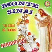 Monte Sinai's avatar cover