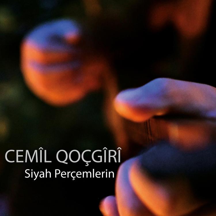 Cemil Qocgiri's avatar image