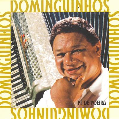 Canto nordestino By Dominguinhos's cover