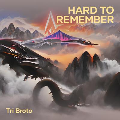 Hard to Remember's cover