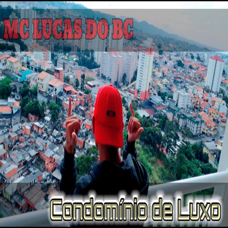 Mc Lucas Do Bc Dj Lk Da Gl's avatar image