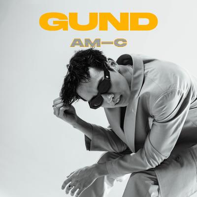 Gund's cover