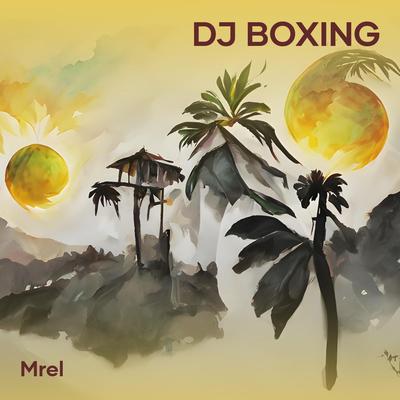 Dj Boxing's cover
