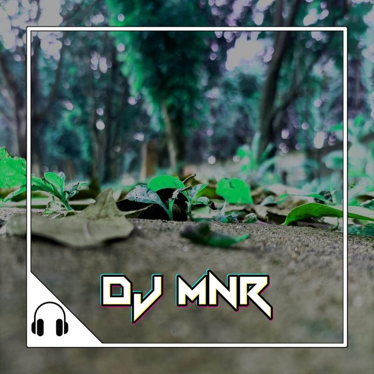 DJ MNR's avatar image