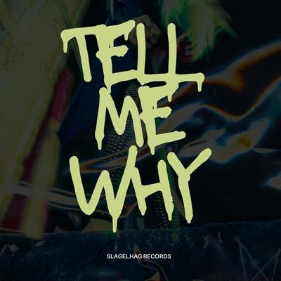 Tell Me Why By Groove Crackers, Stefano Cece's cover