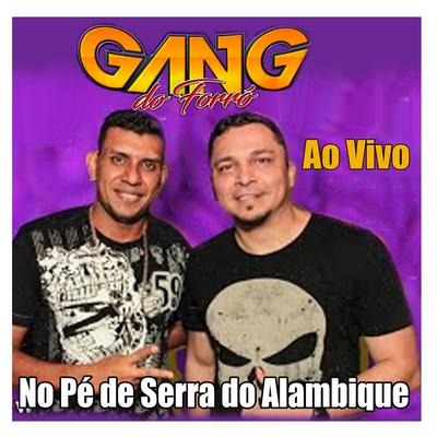 Por Quê By Gang do Forró's cover