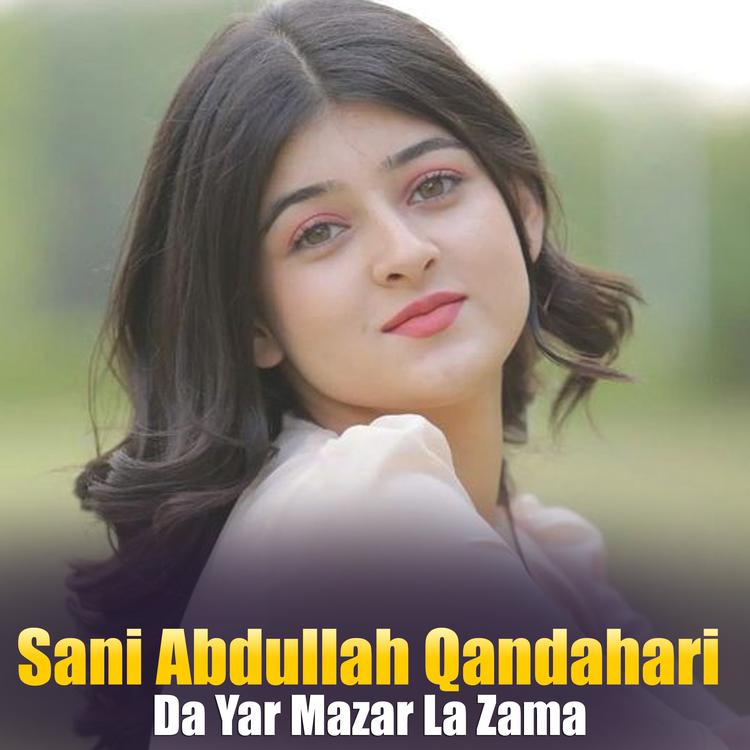 Sani Abdullah Qandahari's avatar image