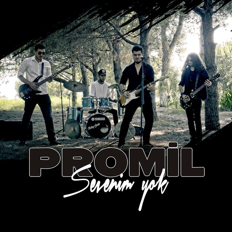 Promil's avatar image