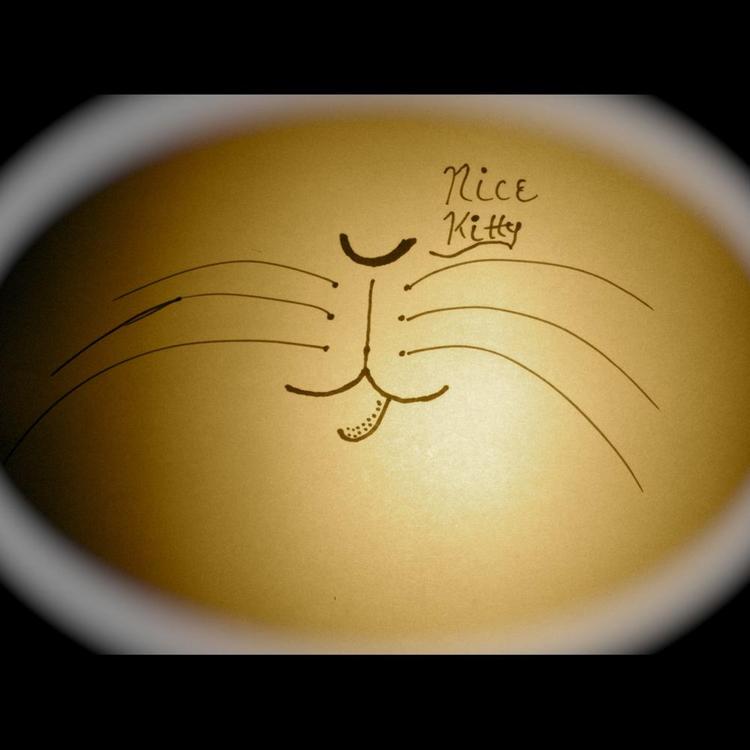 Nice Kitty's avatar image