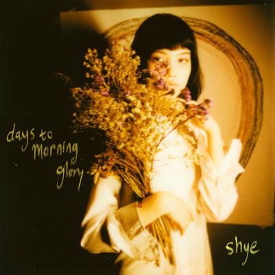 days to morning glory's cover