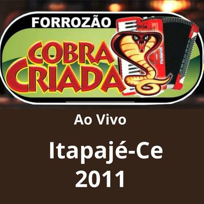 AO VIVO EM ITEPAJÉ - CE 2011's cover