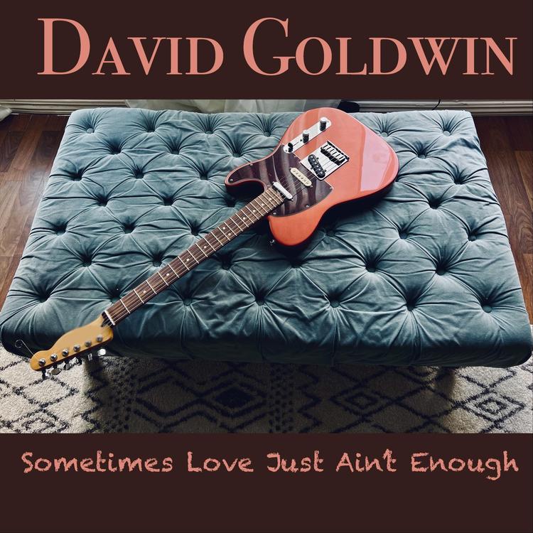 David Goldwin's avatar image
