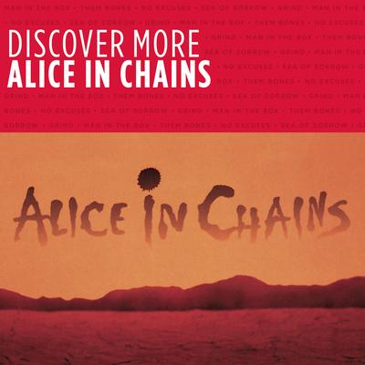 Got Me Wrong By Alice In Chains's cover