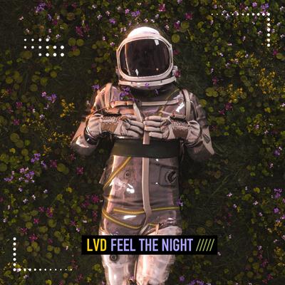 Feel the Night By LVD's cover