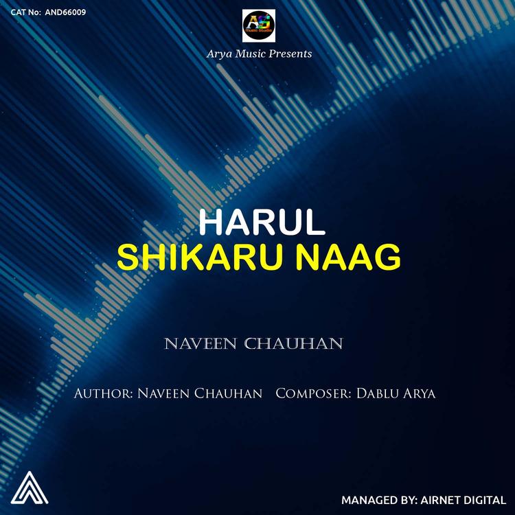 Naveen Chauhan's avatar image