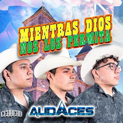 Mientras Dios Me Lo Permita (En Vivo)'s cover