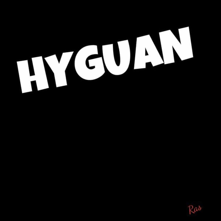 Hyguan's avatar image