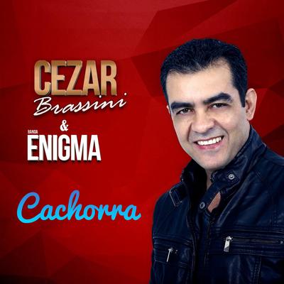 Cachorra (Ao Vivo) By Cezar Brassini E Banda Enigma's cover