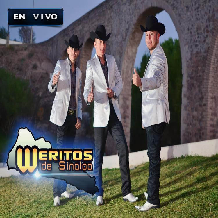 Weritos de Sinaloa's avatar image